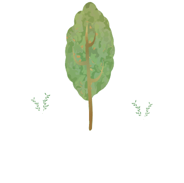 Crias na Floresta